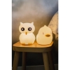 Star And nattlampe oppladbar - Bilde 9