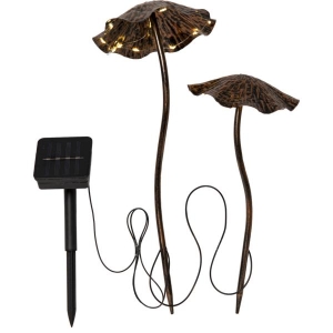 Star Sopp solcelle 2pk