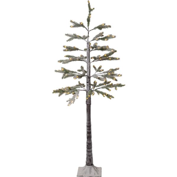 Star Tanne Tre 150cm 155-lys utendørs